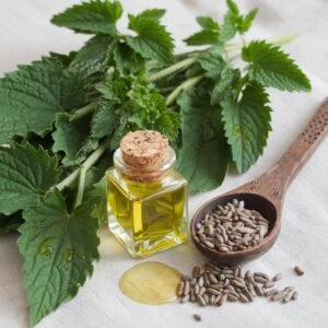 Frische Brennnesseln, hochwertige Samen und selbstgemachtes Brennnesselöl in einer Glasflasche – eine natürliche Kombination für Hautpflege, die Feuchtigkeit spendet, regeneriert und das Hautbild verbessert.